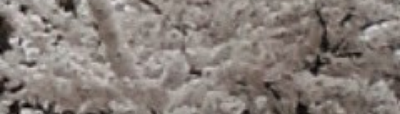 Profile banner image for Shawnee12