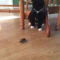 Profile avatar image for DukDuk4