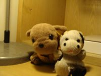 Profile avatar image for KaiYang