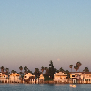 Profile avatar image for Zoelise