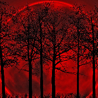 Profile avatar image for theoneminded