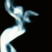 Profile avatar image for Bitzy