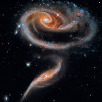 Profile avatar image for Idiosyncracies