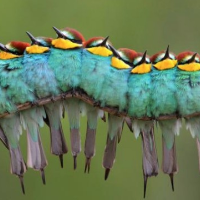 Profile avatar image for Hekate