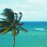 Profile avatar image for Lilac