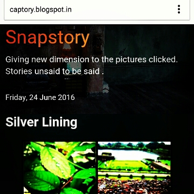 Profile avatar image for Nikhila