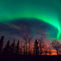 Profile avatar image for LouRocky