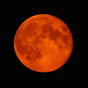 Profile avatar image for bloodmoon