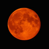 Profile avatar image for bloodmoon