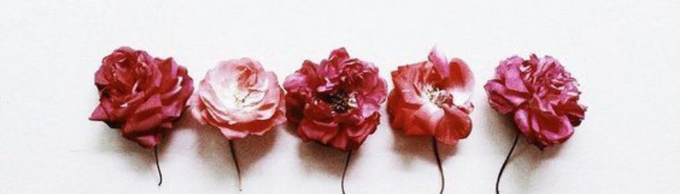 Profile banner image for rosepress