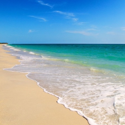 Profile avatar image for ava_camm