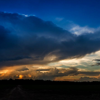 Profile avatar image for PrttyBrd