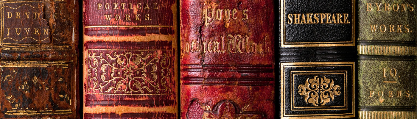 Profile banner image for Aivilo