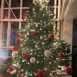 Profile avatar image for Aivilo