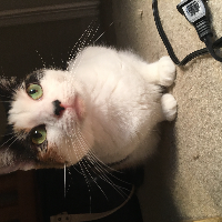 Profile avatar image for THutch330