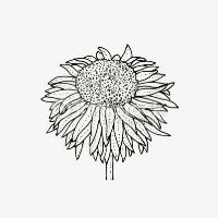 Profile avatar image for technicolor