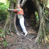 Profile avatar image for NFinity