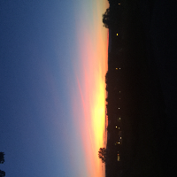 Profile avatar image for hiddenechoes