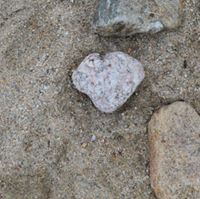 Profile avatar image for GlimmerSpring