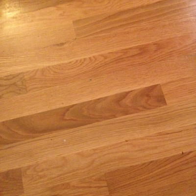 Profile avatar image for Blubby