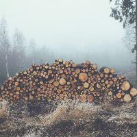 Profile avatar image for LaundroMatt