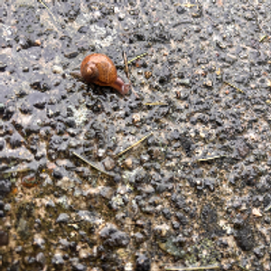 Profile avatar image for ZZZzz