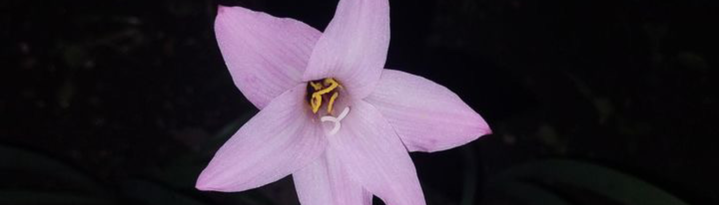 Profile banner image for ts_elliotk