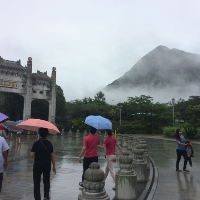 Profile avatar image for TheWanderer