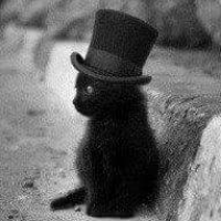 Profile avatar image for RockerKitty