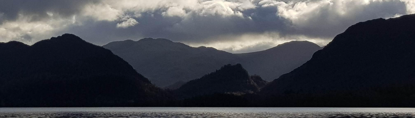 Profile banner image for laura