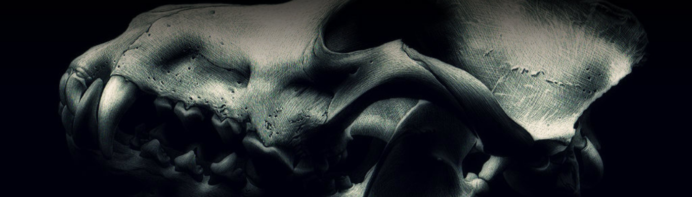 Profile banner image for Fire_Folk