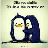 Profile avatar image for snowychloe2003