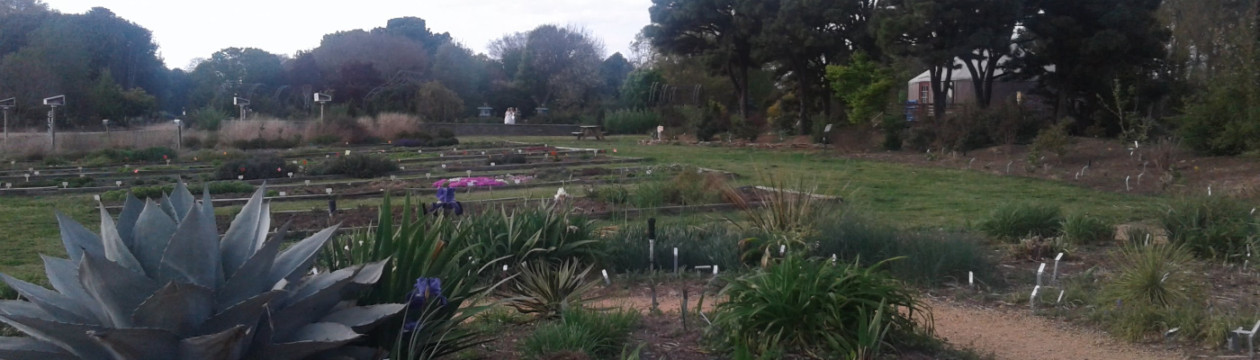 Profile banner image for MzMonie