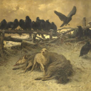 Profile avatar image for INFP