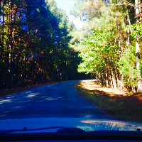 Profile avatar image for Krystal_Stones