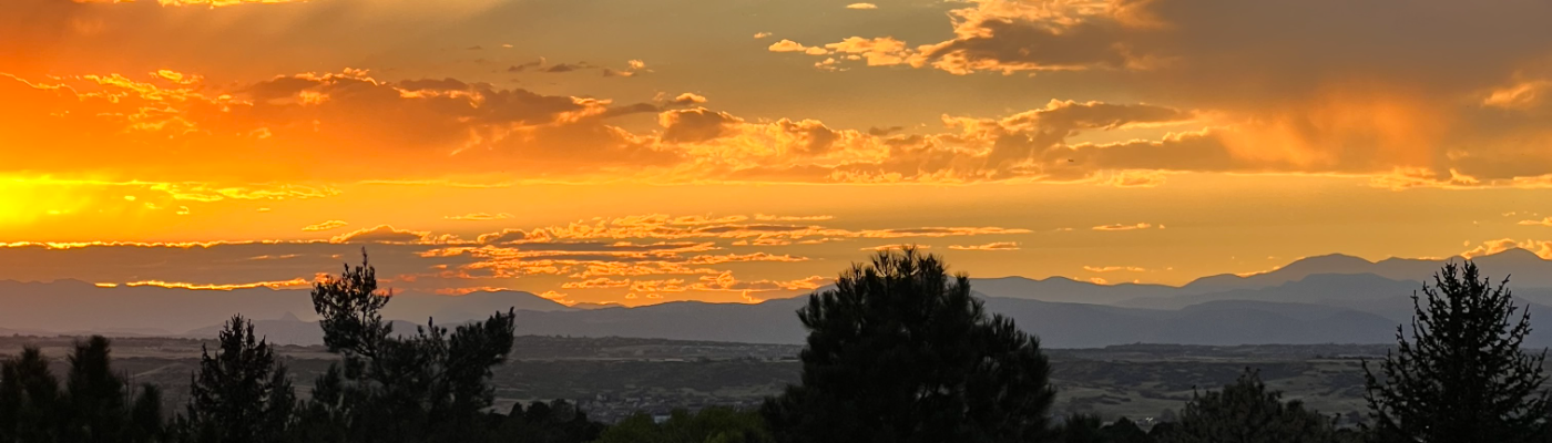 Profile banner image for SoulSearch