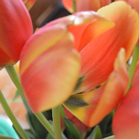 Profile avatar image for wordslanger