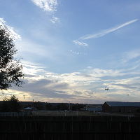 Profile avatar image for ShelbyLinn