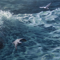 Profile avatar image for Daydreamer