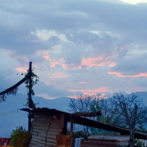 Profile avatar image for ChainOfWords