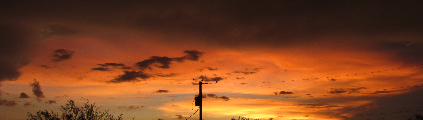 Profile banner image for Dirtfarmerswife