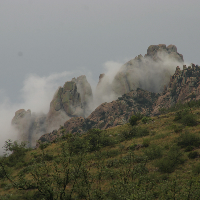 Profile avatar image for wordsfired