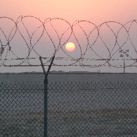 Profile avatar image for silasd