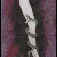 Profile avatar image for EriduSerpent