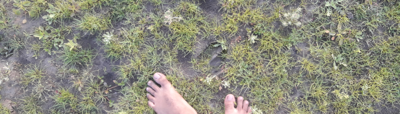 Profile banner image for Sudipto