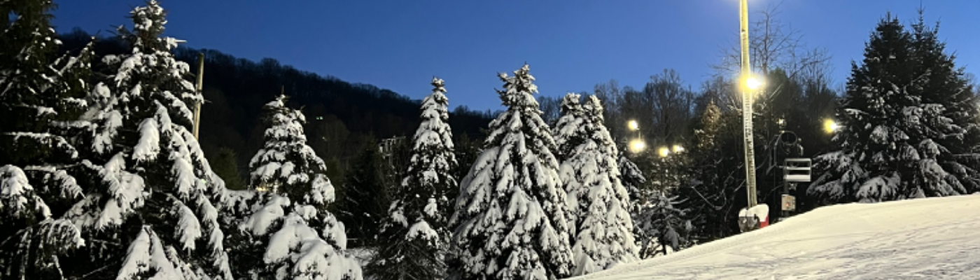 Profile banner image for Cristiana