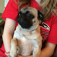 Profile avatar image for ZealousJade