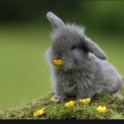 Profile avatar image for PaisBee