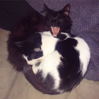 Profile avatar image for DaleOrenda