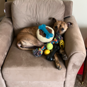 Profile avatar image for Melvin_Buckets